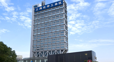 上海化學工業區進出口有限公司